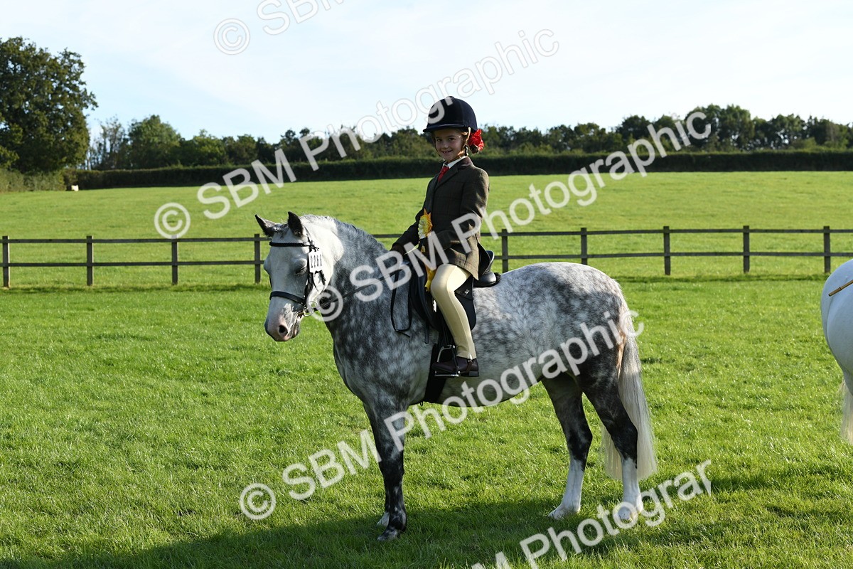 SBM_52446 - S22 - 1st Ridden Show & Show Hunter Pony