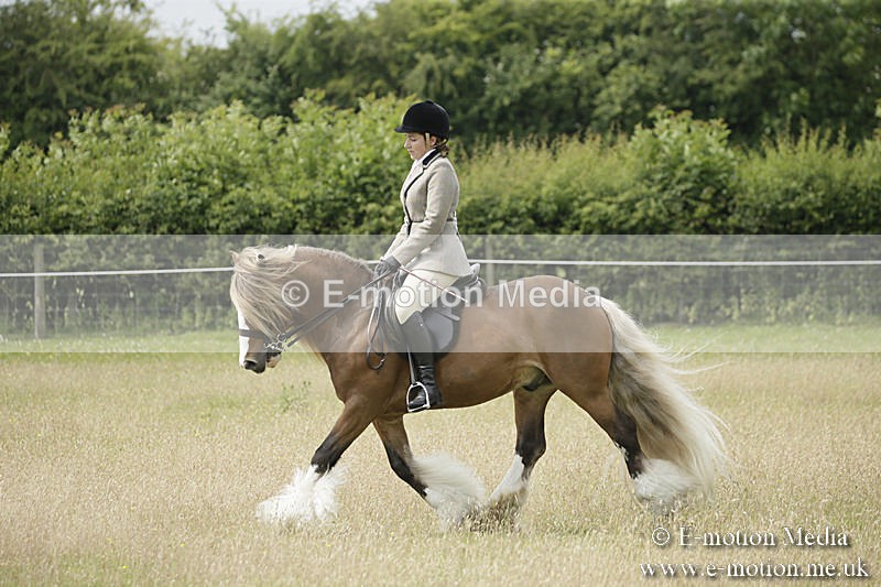 B230619-0437 - Bourne Valley Riding Club Summer Show 23/06/19