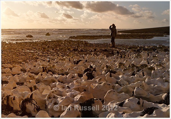 Chalk beach - Seascapes