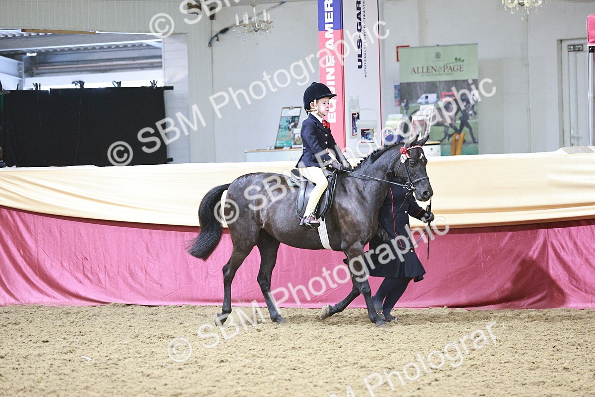 SBM_03346 - Class 6A Area Ridden Pre-Vet