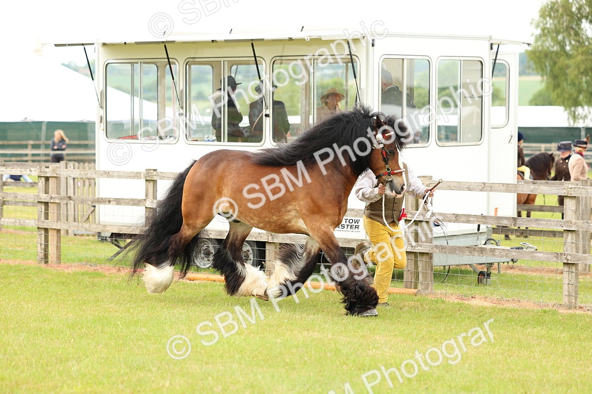 SBM_06279 - Class 39-41 TGCA In Hand and Ridden