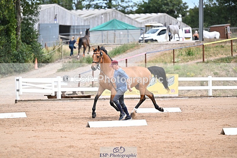 250716-132401-00483 - Trot Up 12.30 to 1.30