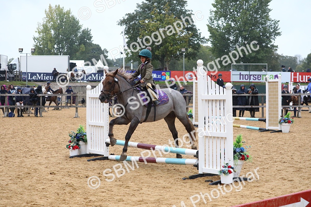 SBM_71487 - J4 - Mini Tour Junior Pony 45cm Championship