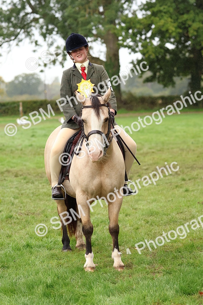 SBM_69745 - S62 - Mountain & Moorland Ridden Large Breeds