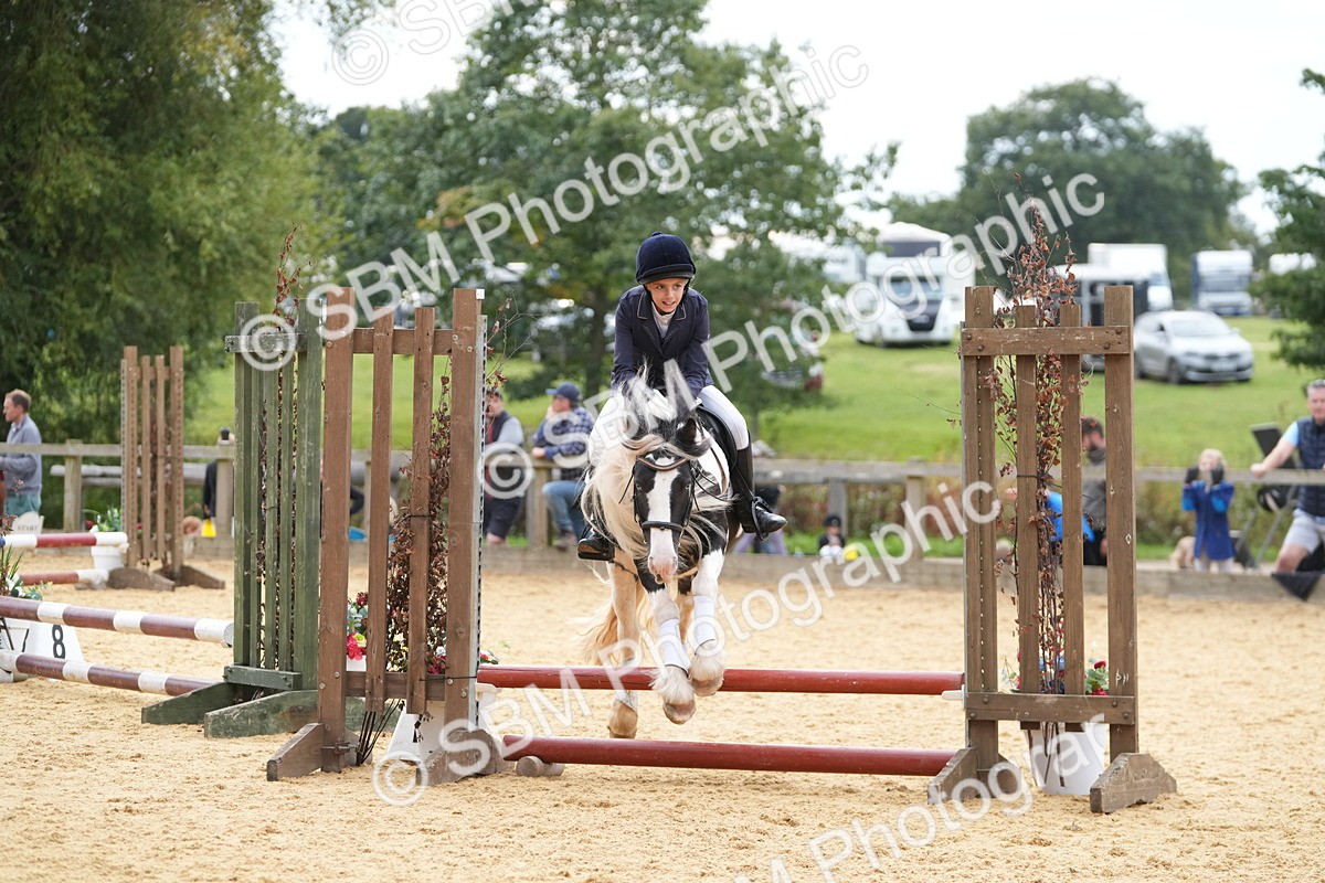 SBM_74774 - J4 - Mini Tour Junior Pony 45cm Championship