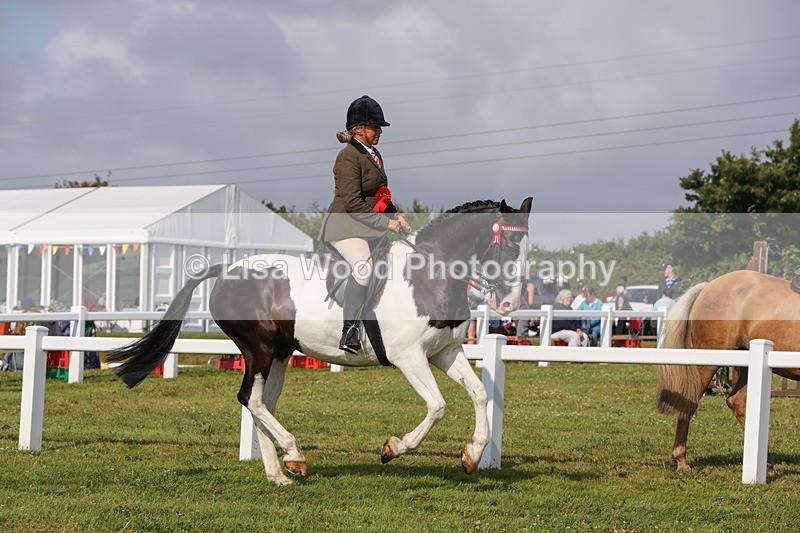 1X9A3486 - Skewbald and Piebald Ridden Championship