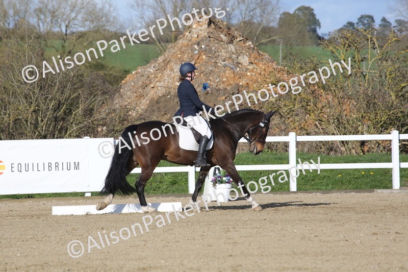 20260314-6005 - CT5 - Novice 2