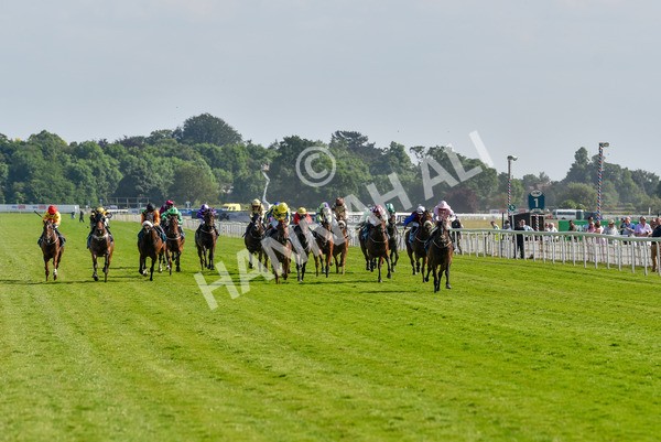 160623-Race 6-Another Investment-6480 - Race 6 4.45pm Irish Thoroughbred Marketing Handicap