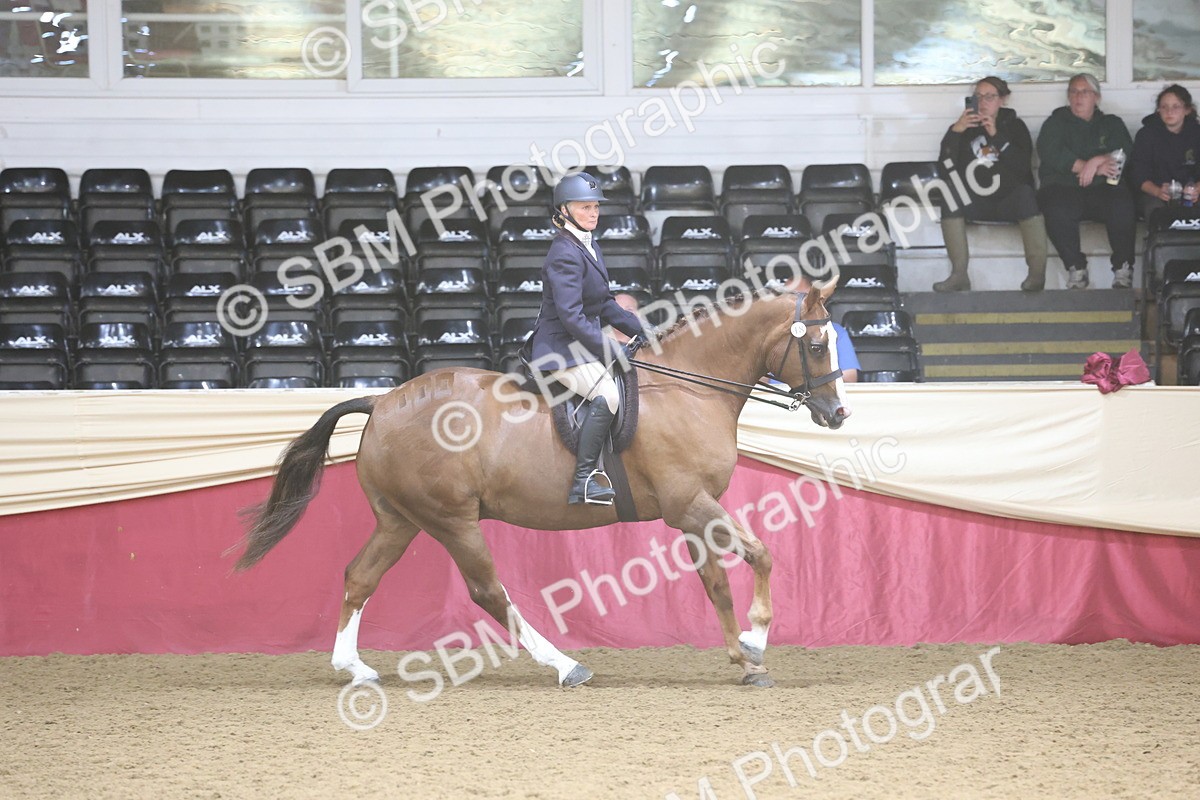 SBM_23796 - class 906 - Supreme Final - Ridden Pre Vet