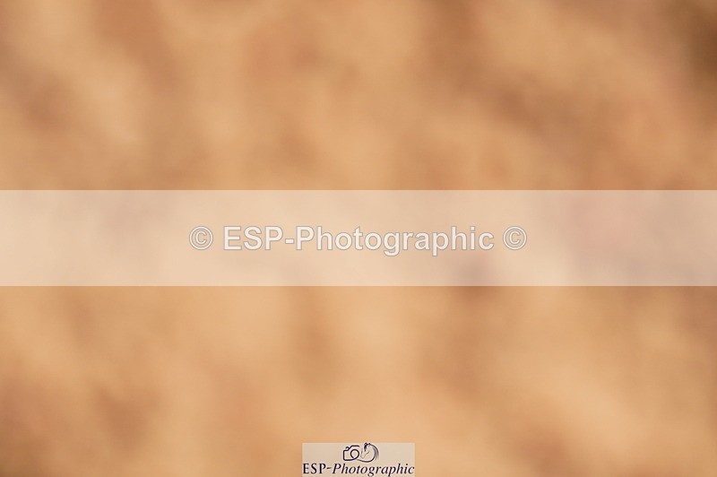 240628A-181208-00672 - Cls 3 1m Open