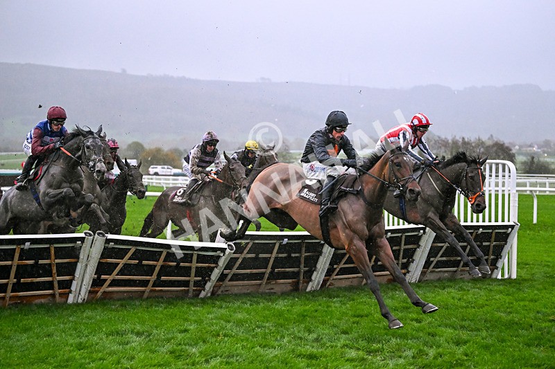 141125-Race 5-Great Fleet-0967 - Race 5