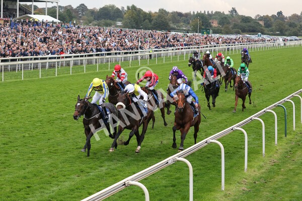 yr09102021r5-18 - Race 5 3.50pm Coral ebfstallions.com Novice Stakes