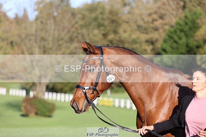 241027-085434-14888 - 301-Ilaria.Serra-DREAM.MACHINE