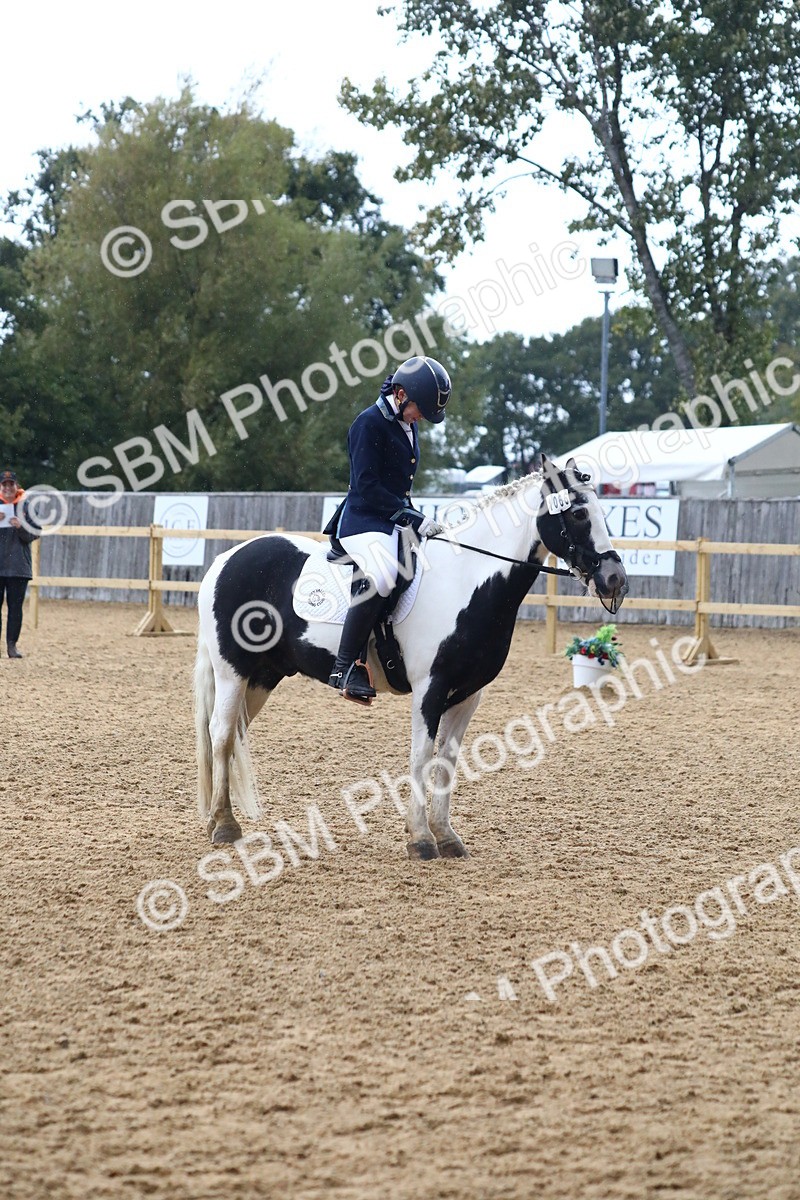 SBM_42800 - D21 - Junior Championship Intro 1