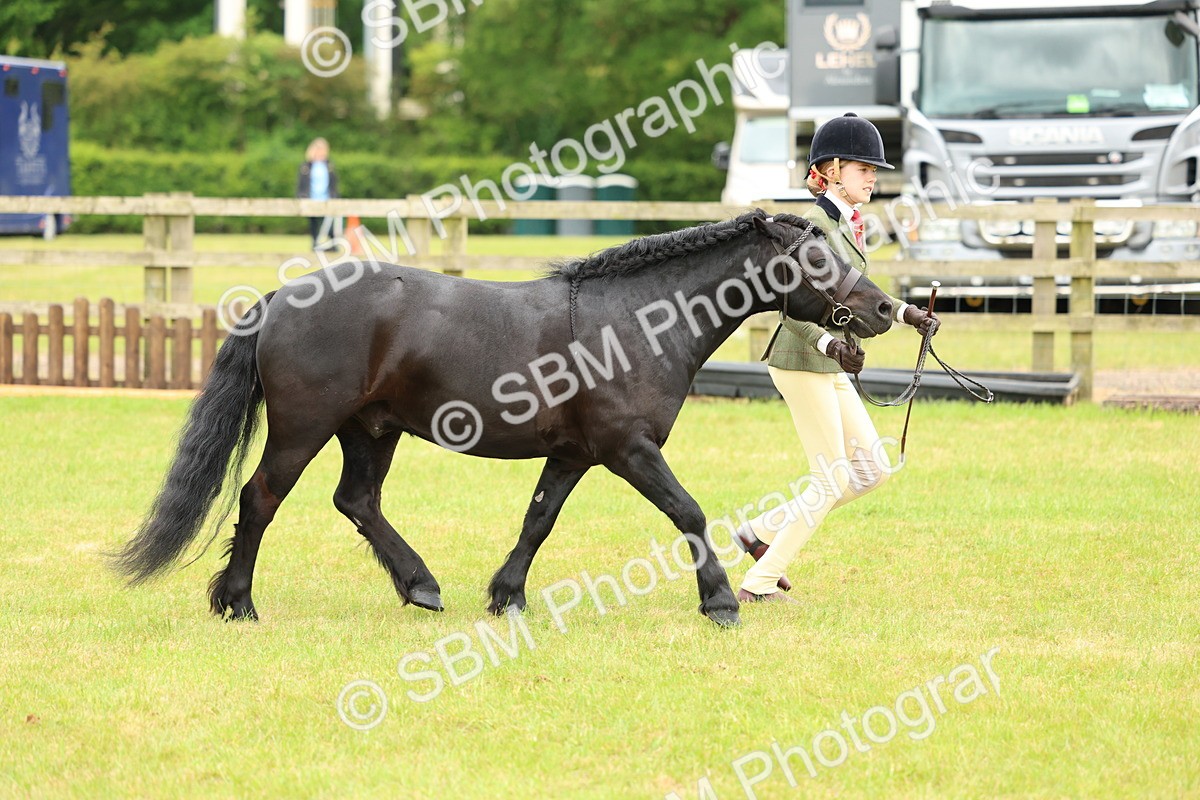 SBM_10352 - Class 44-45 - LIHS BSPS Open Nursery and Cradle Stakes