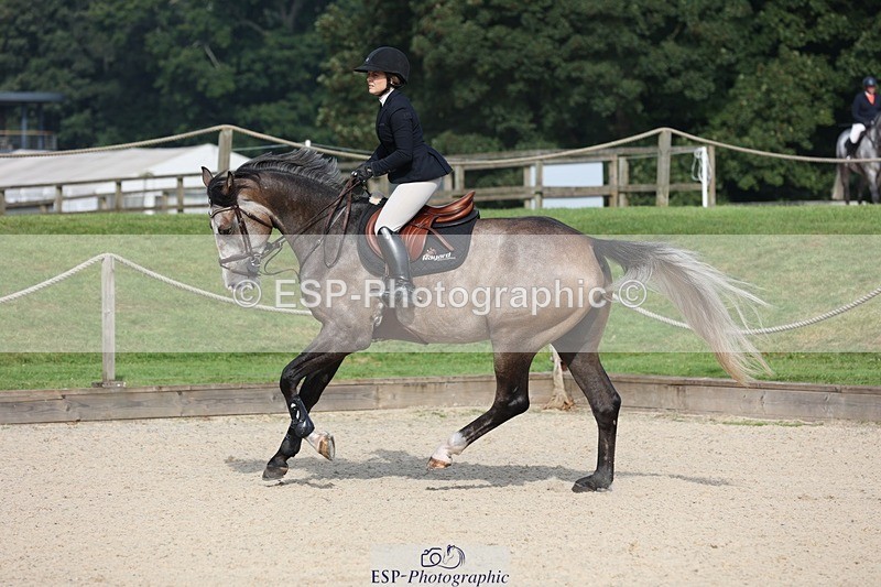 230908-102714-00441 - Cls 6 Snr British Novice & 90cm Open