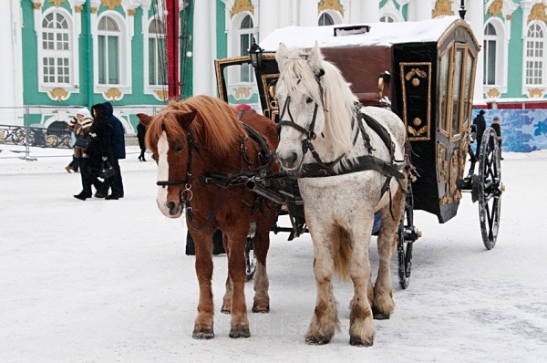  - Russia