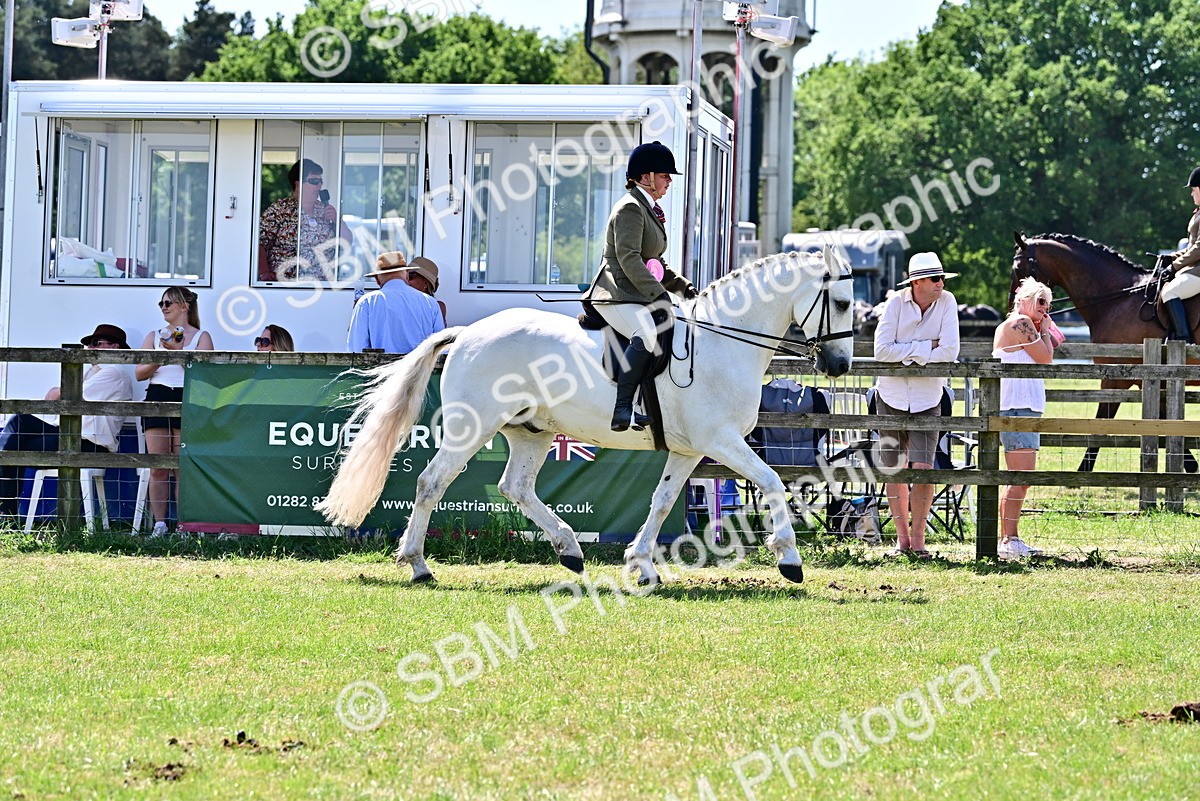 SBM_17527 - Class 95-97 - BSPS LHS Performance Ponies