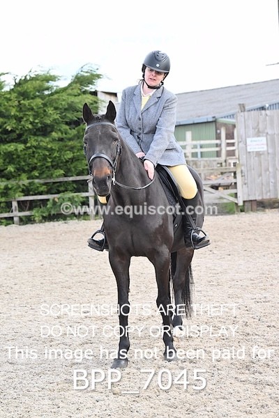 BPP_7045 - RING 1  (RIDDEN HORSES / IN HAND / VETERAN ETC)