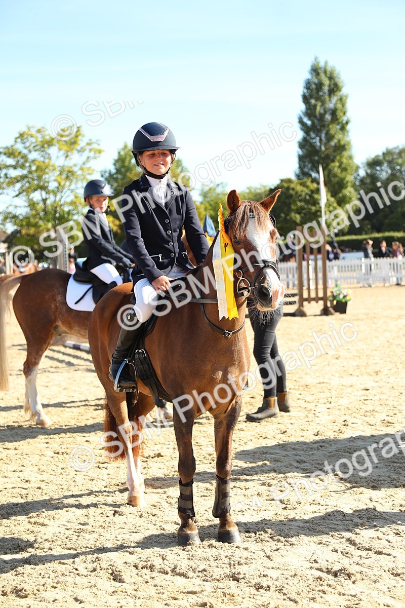 SBM_36035 - J5 - Junior Pony 50cm Championship