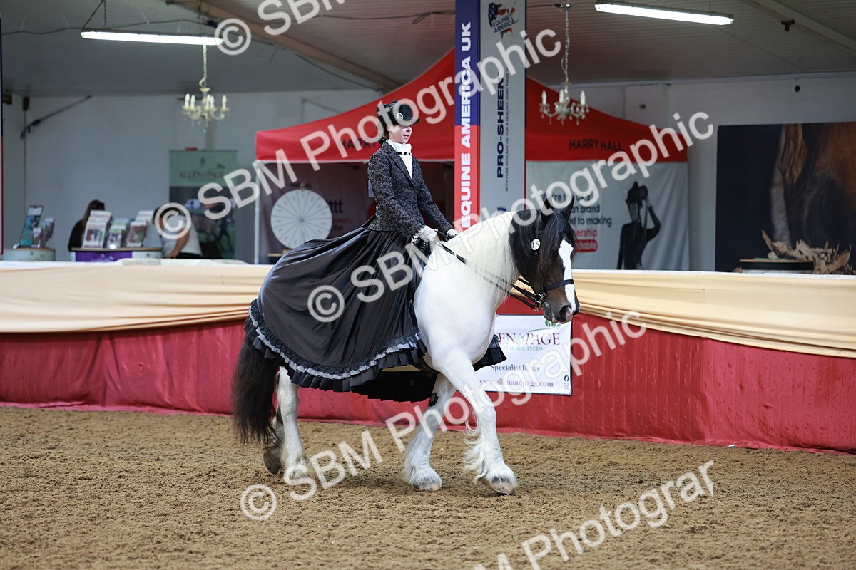 SBM_13785 - Class 106 - Ridden Costume -Astride Adult (15-19)
