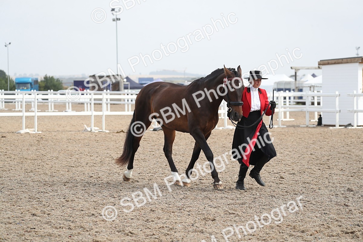 SBM_23119 - Class 605 - 2025 Area - IH Veteran