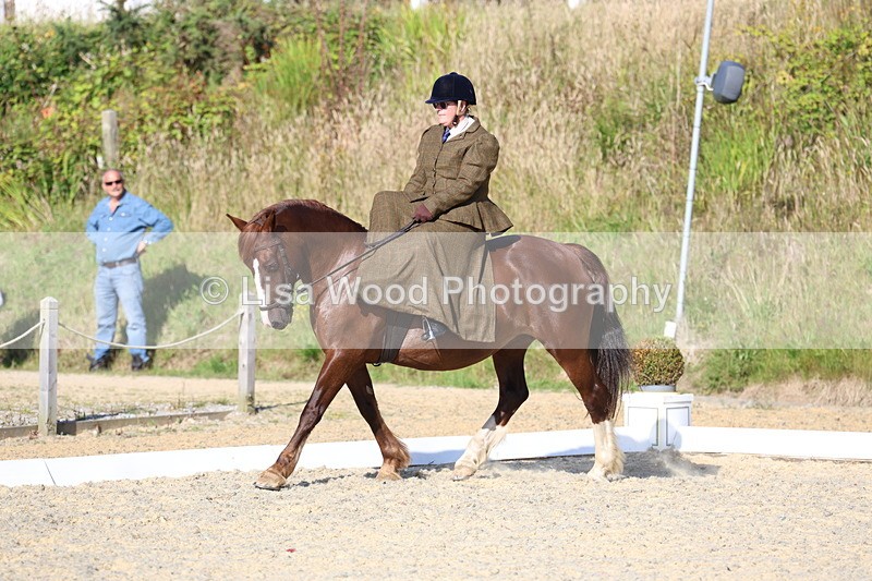 3E7A3456 - Class 2: Intro 1 2024 Section B