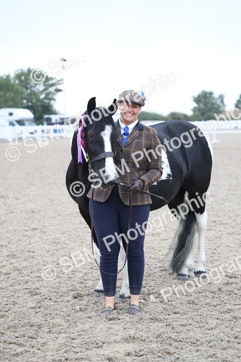 SBM_18424 - Class 318 IH Part bred Horse/Pony