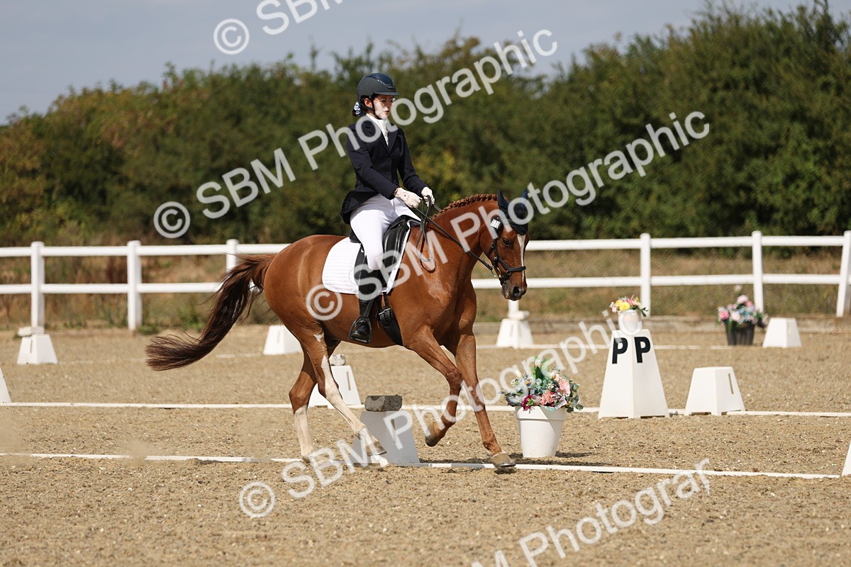 SBM_021907