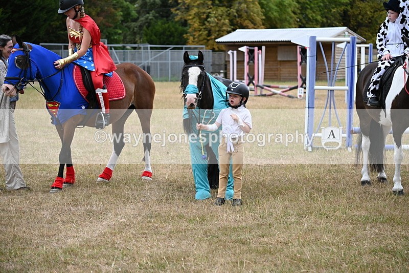 WJ6_9077 - Class 11 Fancy Dress