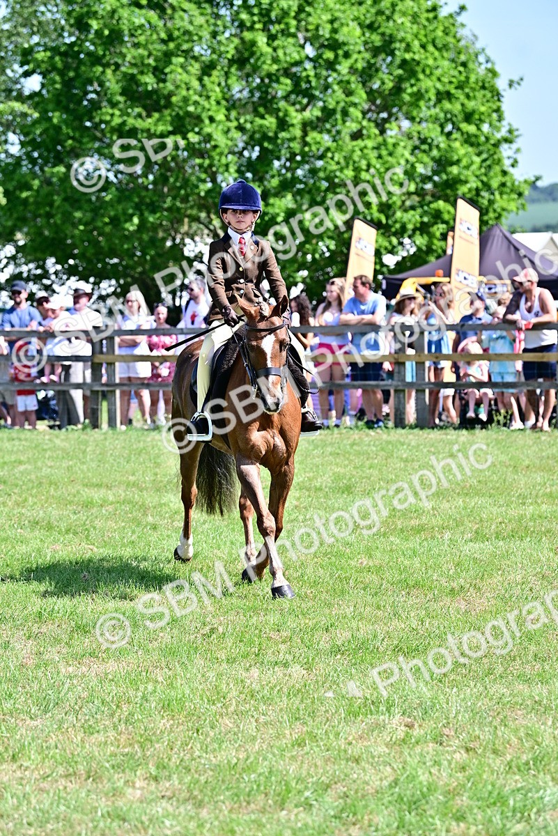 SBM_13890 - Class 95-97 - BSPS LHS Performance Ponies
