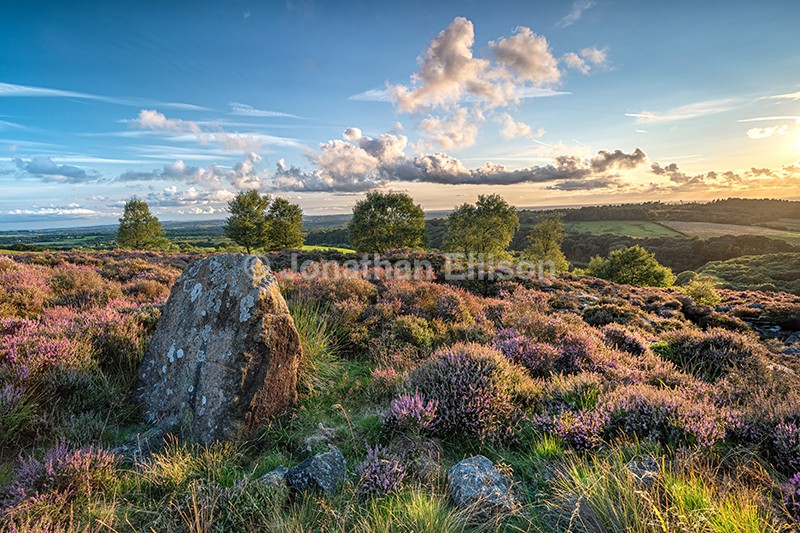 Summer Sunset At Black Coppice