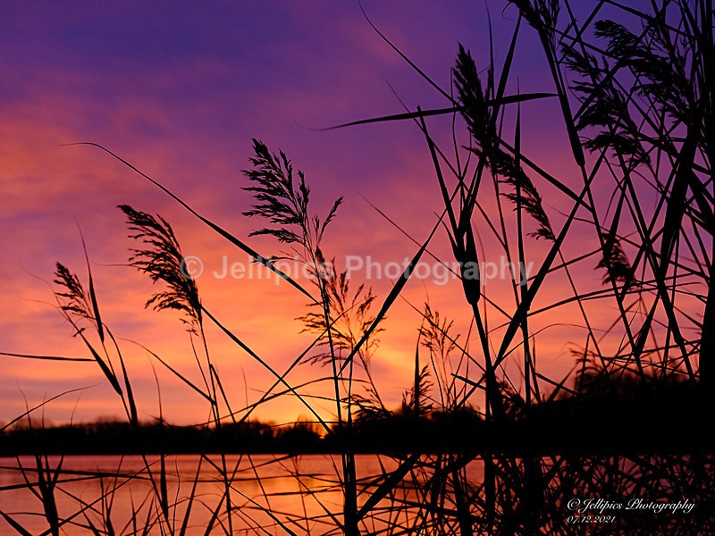  - Landscapes