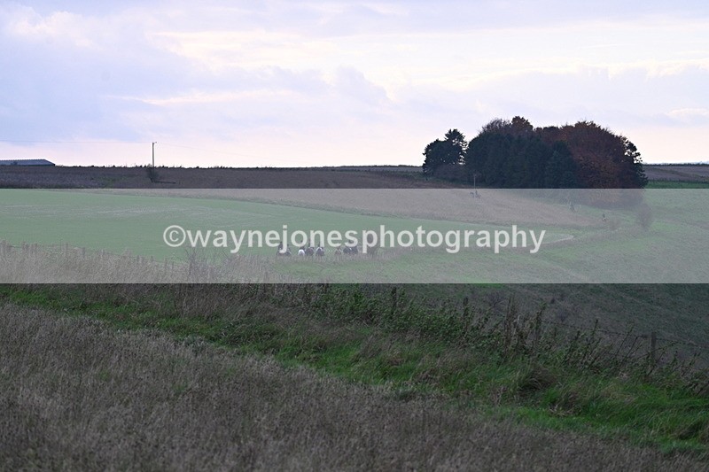 WJ7_0034 - Camera 1 & Last fence
