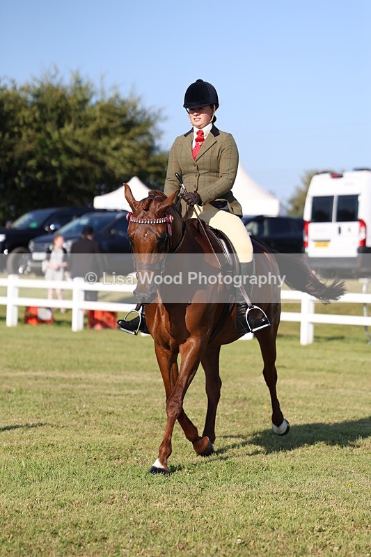 3E7A5063 - Class 1: Rising Star Small Hack/Riding Horses
