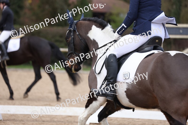 20260301-0678 - Class 4 - Novice 5