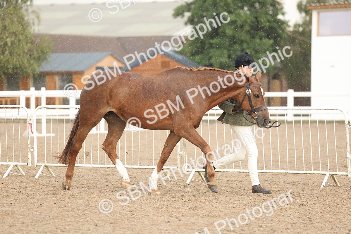 SBM_07749 - Class 27 - IH Competition Horse/Pony