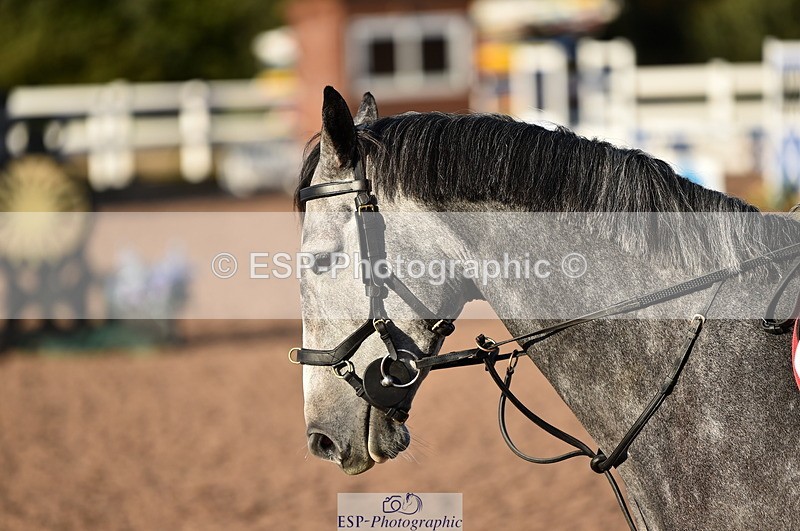 231015A-091100-06634 - Cls 22 British Novice & 90cm Open