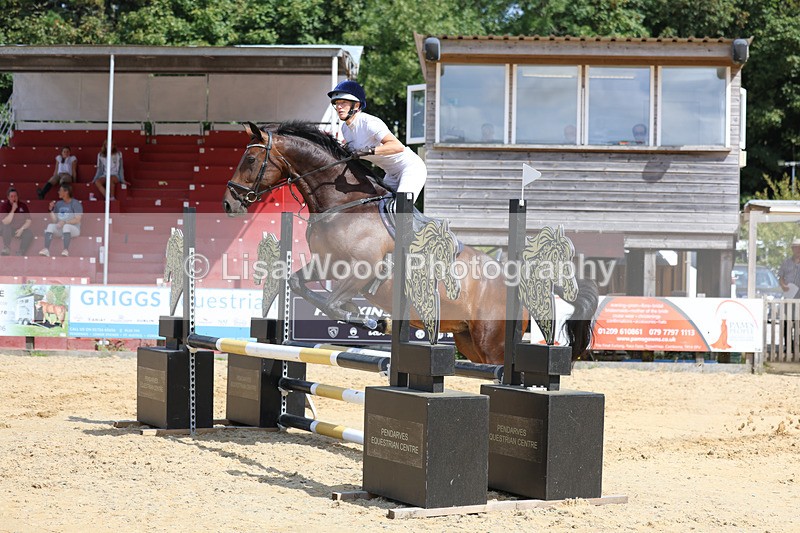 3E7A3703 - Class 4: Senior British Novice/90cm open