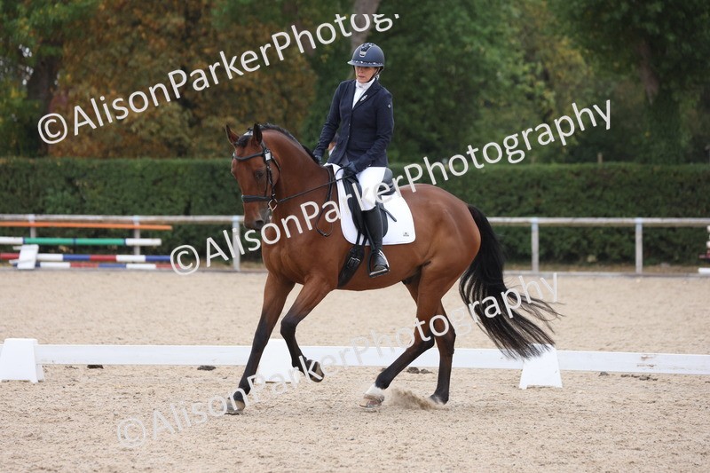 20250820-0390 - Class 11 - My Quest Novice 3