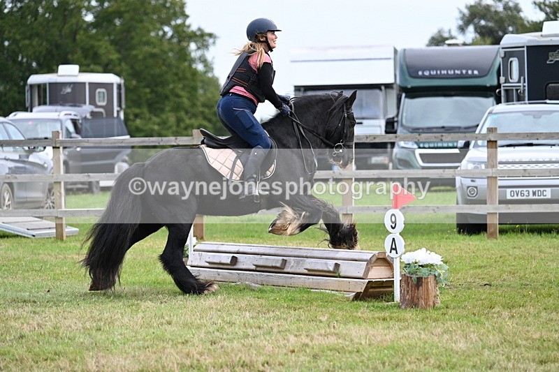 WJ7_7924 - 40cm Time 10:49 to 11:18