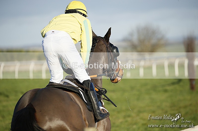 PtP 121220 538 - Avon Vale Races Larkhill 12/12/20