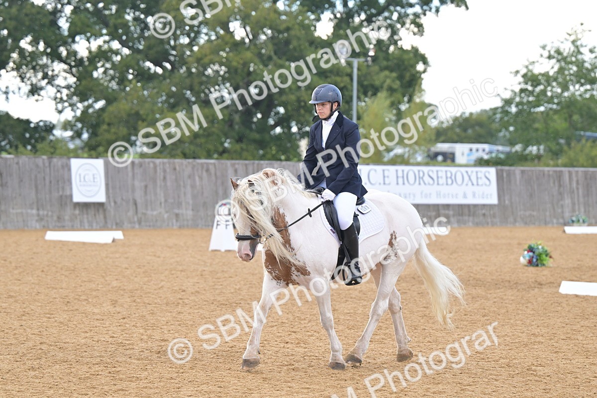 SBM_11225 - D3 - Small Tour Championship Intro 3