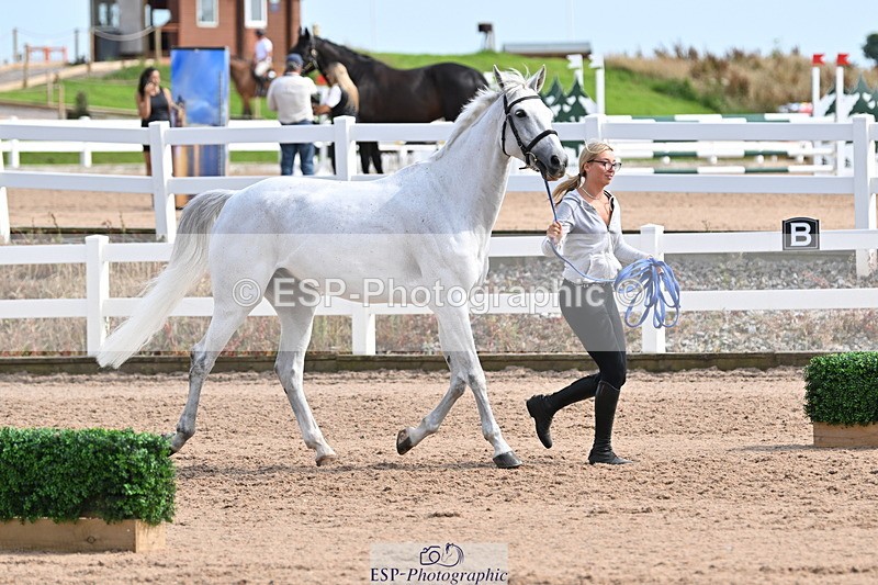 240717A-161405-03361 - Trot Up 4pm to 5pm