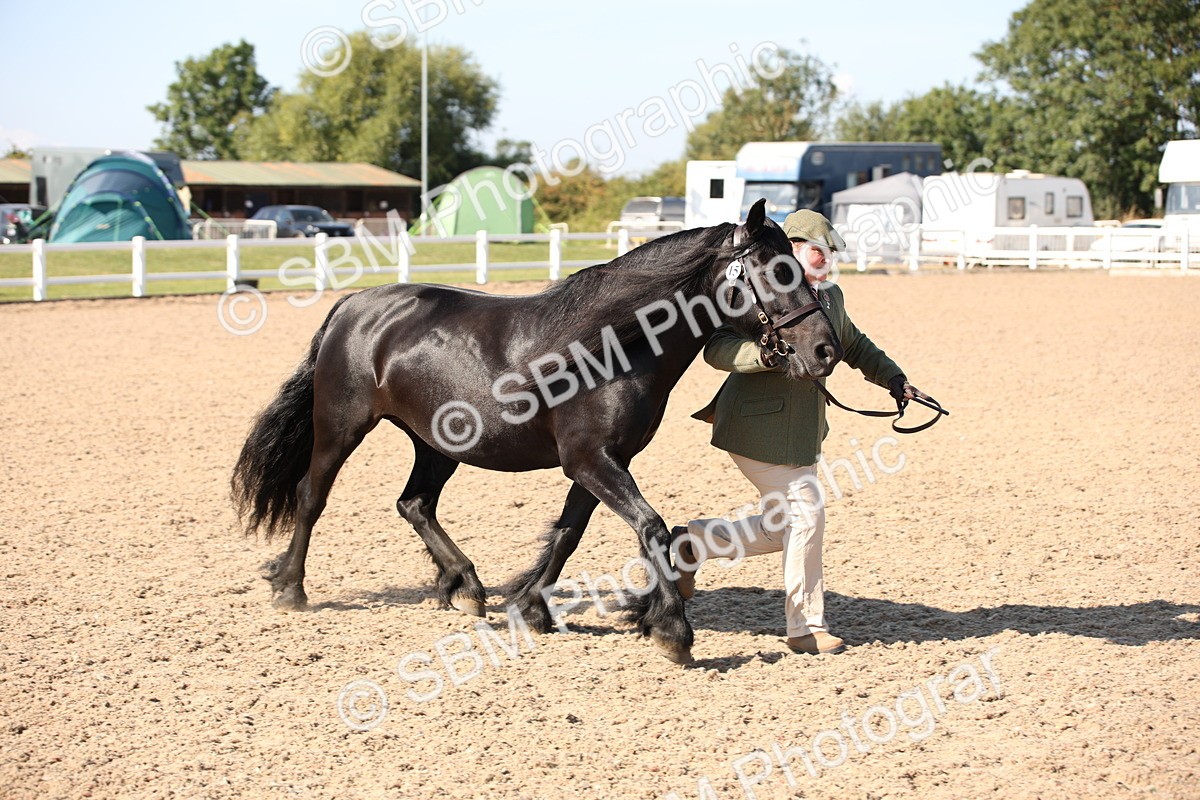 SBM_02741 - Class 16 IH M&M Wildcard