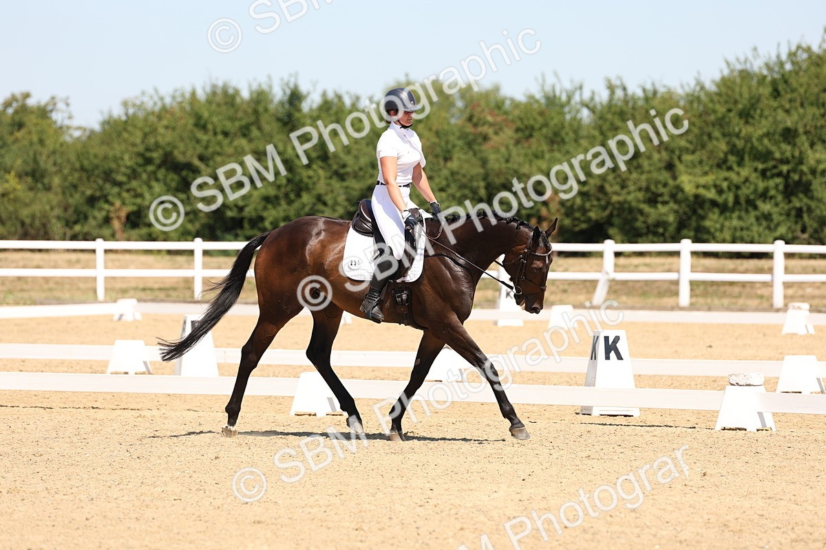 SBM_001295 - Intro 2