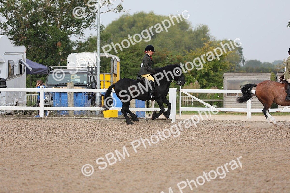 SBM_10015 - Class 302 Ridden M&M -Large Breeds