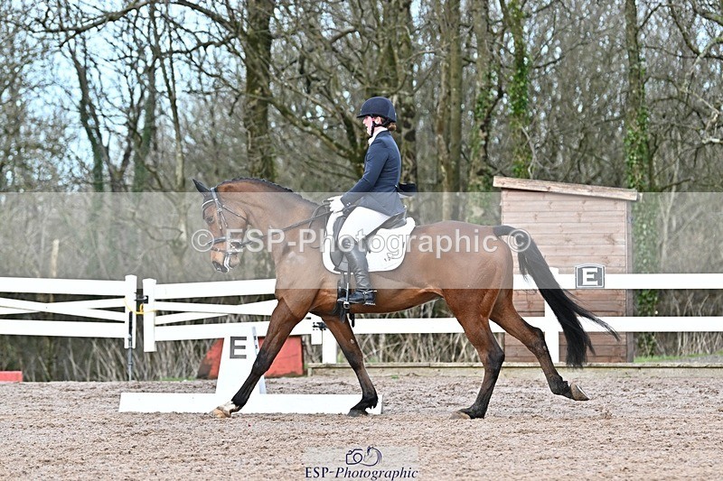 250125-130308-00538 - Dressage - CT Class 6 BE102