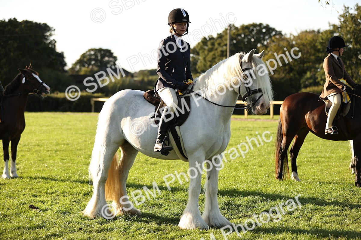 SBM_29647 - S7 - Novice & Newcomers Ridden Pony