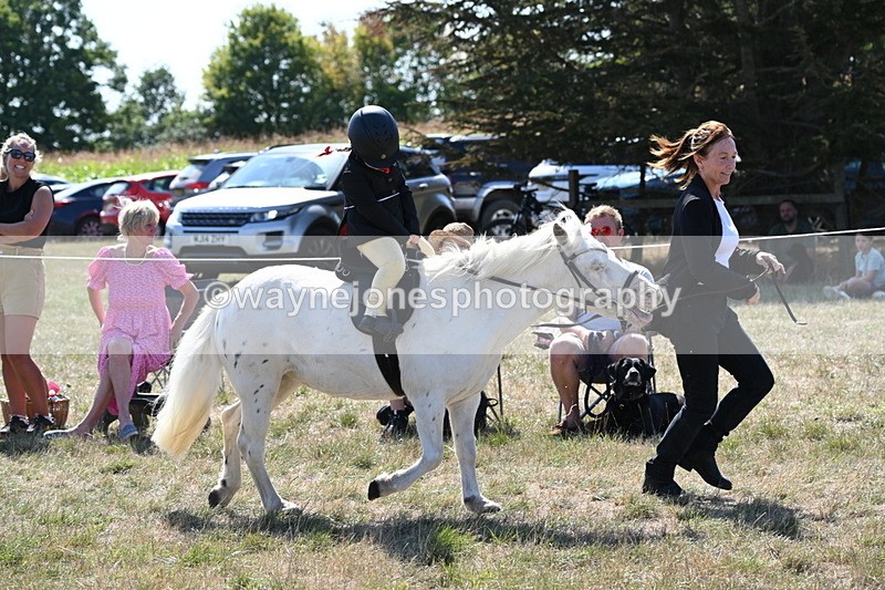 WJ6_7855 - Class 36 Lead Rein